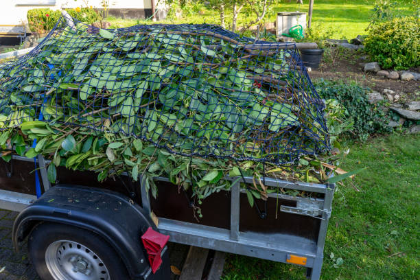 Best Carpet Removal and Disposal  in Fruitport, MI